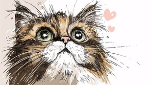 可爱猫咪抬头望