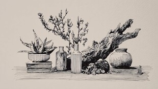 静物素描 瓶罐与植物组合