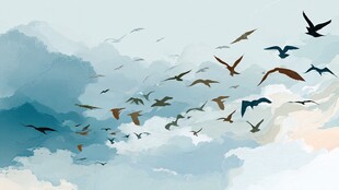 群鸟翱翔于蓝天白云间