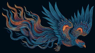 绚丽彩凤展翅图