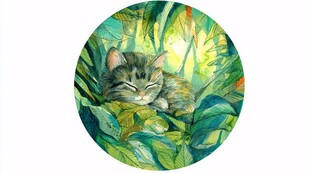 睡在绿叶间的可爱小猫