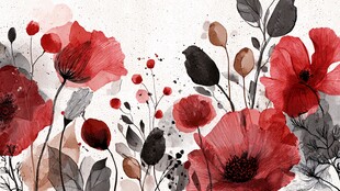 水彩风红色罂粟花花卉图