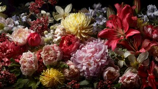 缤纷多彩花卉大赏