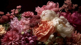 缤纷多彩花卉组合