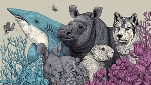 动物齐聚的奇幻海洋图景