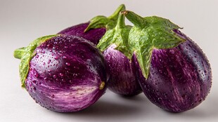 紫润带露茄子新鲜诱人