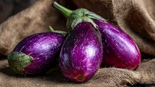 紫艳茄子 麻布上的鲜蔬