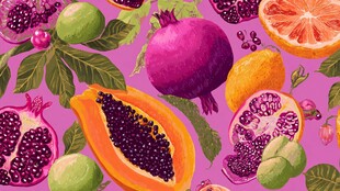 缤纷多彩的热带水果插画