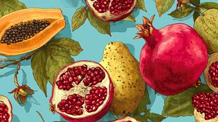 缤纷水果插画 色彩绚丽