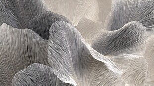 银灰色褶皱纹理艺术图案