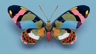 彩色斑斓艺术风蝴蝶造型