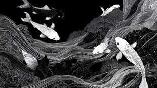 墨韵锦鲤 畅游灵动水世界