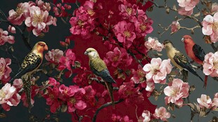 花鸟图 繁花间的灵动鸟儿