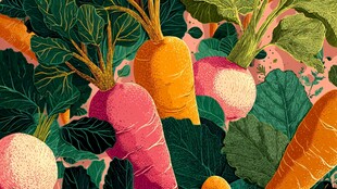 缤纷多彩的萝卜插画