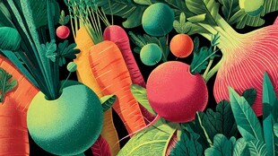 多彩蔬菜插画 生机满满