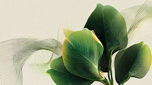 清新绿植叶片艺术插画
