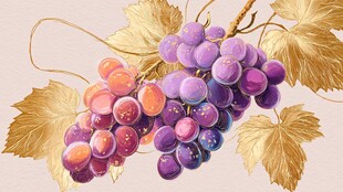 梦幻紫葡萄与金叶插画