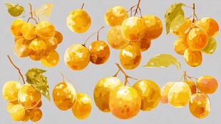 水彩风黄樱桃插画素材