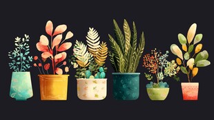 多彩盆栽植物艺术插画
