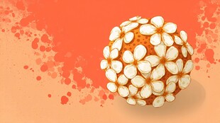 橙色背景上的花朵装饰球