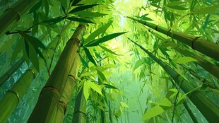 梦幻竹林绿意盎然