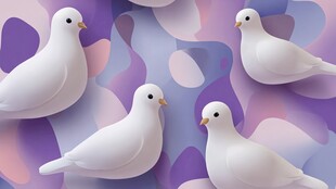 四只白鸽于梦幻背景中