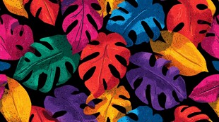 缤纷热带叶片图案背景