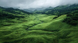 绿野山峦间的云雾田园风光