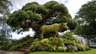 树下绿雕牛景观艺术美