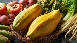 新鲜多样蔬菜组合展示