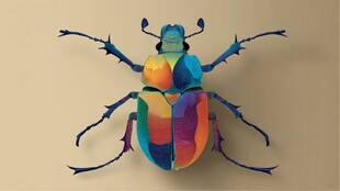 多彩几何风甲虫艺术形象