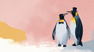 优雅企鹅情侣浪漫雪景中