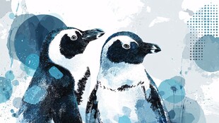 水彩风格双企鹅艺术画