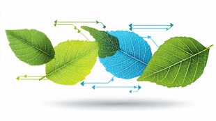 绿叶循环图案设计元素