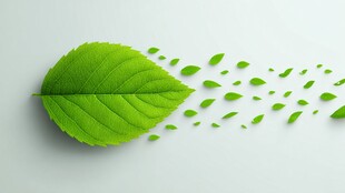 绿叶飘散 自然清新之景