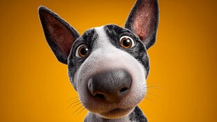 萌趣狗狗的俏皮特写