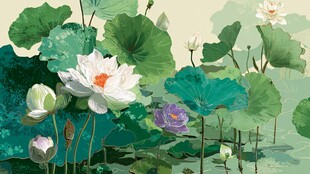 夏日荷塘荷花荷叶美景图