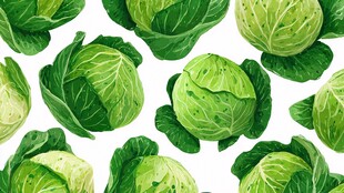 卷心菜无缝图案背景设计