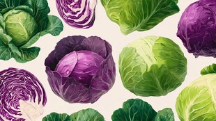 多彩卷心菜图案