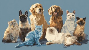 可爱猫狗大集合