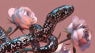 玫瑰丛中的斑斓蛇