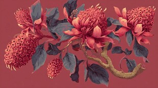 复古风艳丽花卉插画图案