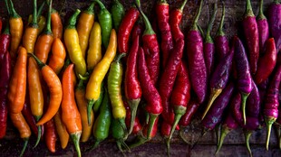 多彩辣椒排列展示