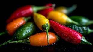 多彩小辣椒 水珠晶莹