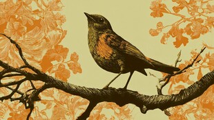 栖息于花枝上的斑斓小鸟