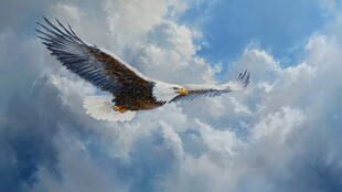 翱翔天际的雄鹰