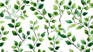 清新绿叶无缝图案背景