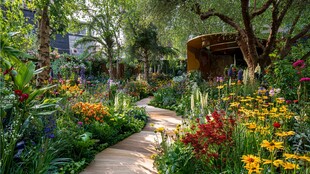 梦幻缤纷的花园小径