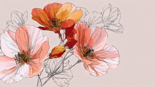 手绘粉色系花卉插画作品