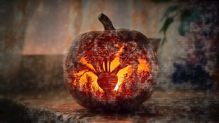 精美南瓜灯 树状心型雕刻